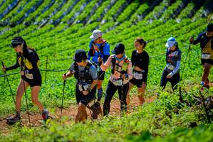 BIB: 
                            <button type="button" onclick="openModal(19163488)" class="btn btn-primary btn-sm float-right btn-popup" data-toggle="modal" data-target=".modal-high-quality">
                        <i class="fas fa-shopping-cart"></i> Add to Cart
                    </button>
                                            <button type="button" onclick="isThisMe(19163488, true)" class="btn btn-success btn-sm float-right btn-popup btn-isme hidden" data-toggle="tooltip" data-placement="bottom" title="นี่คือรูปของคุณใช่ไหม คลิกที่นี่เพื่อเอาเข้าอัลบั้ม">
                        <i class="fas fa-plus"></i> Add to album
                    </button>
                    <button type="button" onclick="isThisMe(19163488, false)" class="btn btn-warning btn-sm float-right btn-popup btn-isnotme hidden">
                        <i class="fas fa-ban"></i> Remove from album
                    </button>